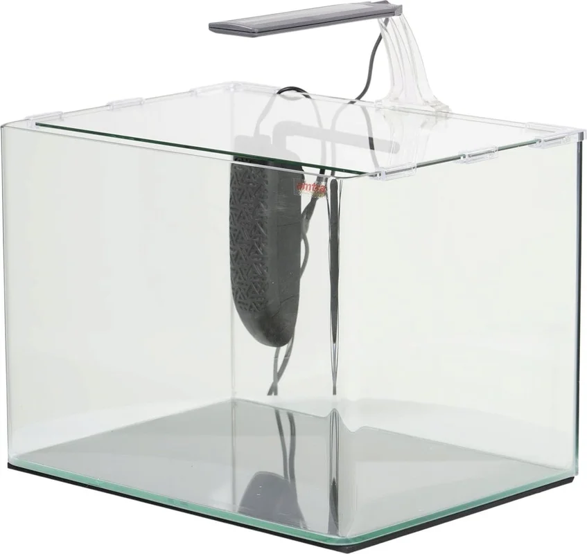 olibetta33509