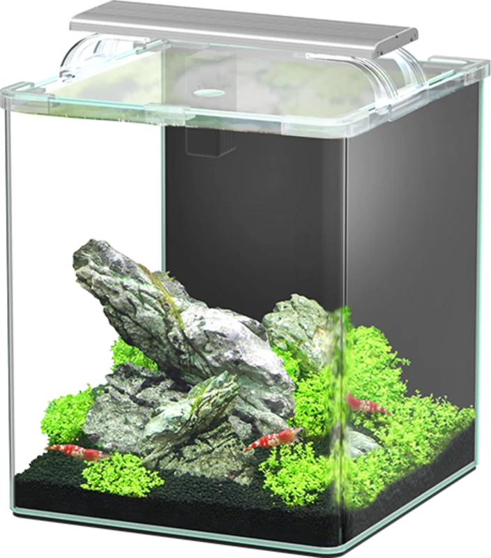 olibetta33769