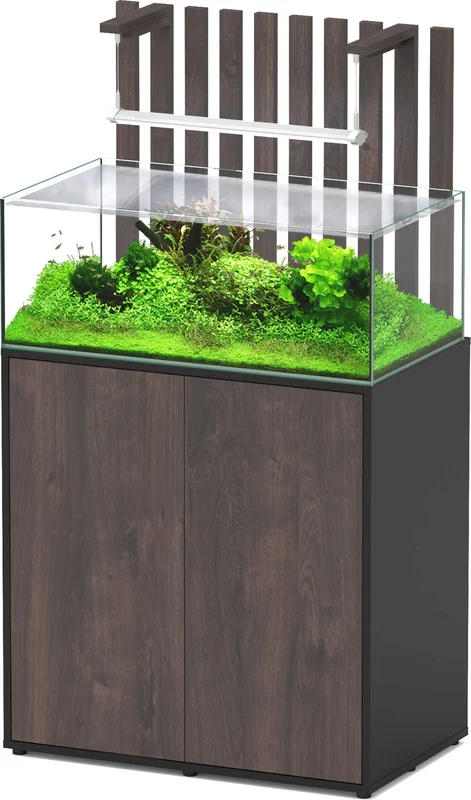 olibetta33807