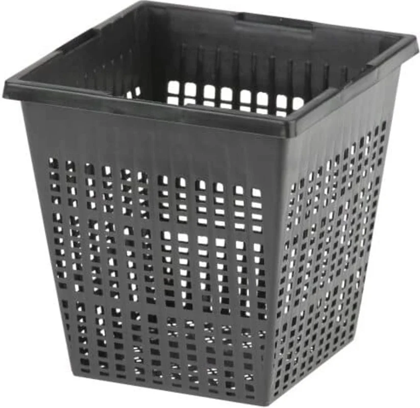 olibetta34243
