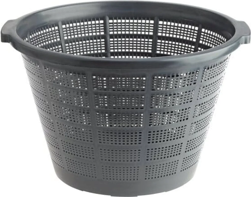 olibetta34261