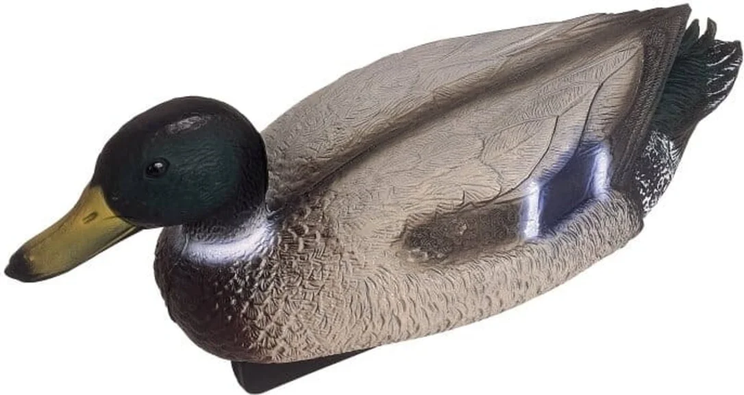 olibetta34301