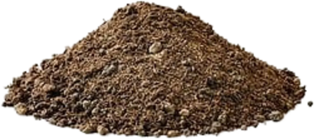 olibetta35342
