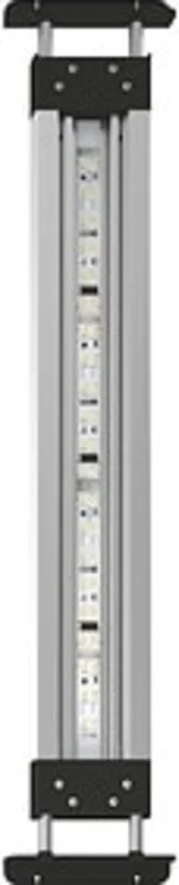 olibetta35500