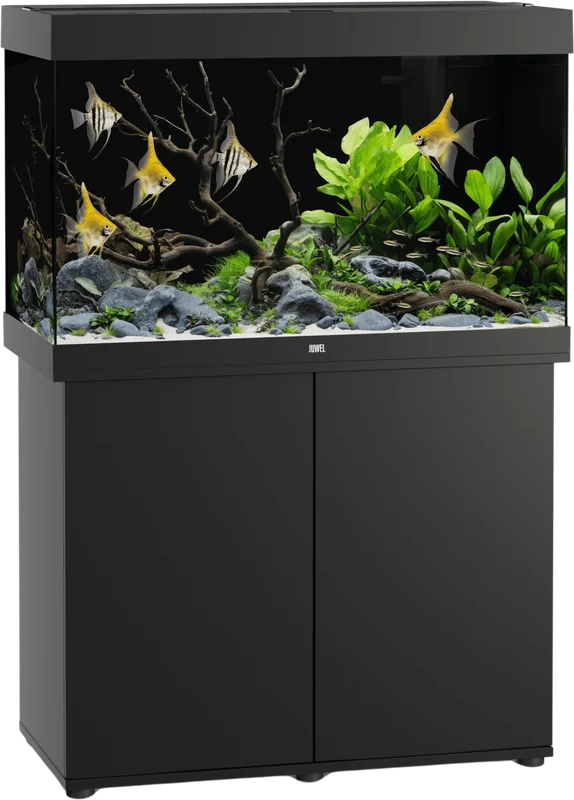olibetta35615