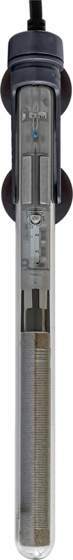 olibetta36048