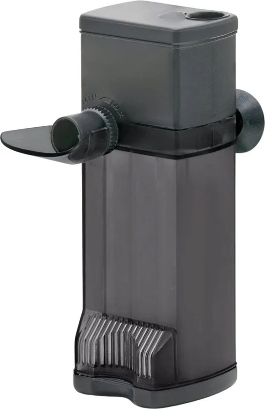 olibetta36234