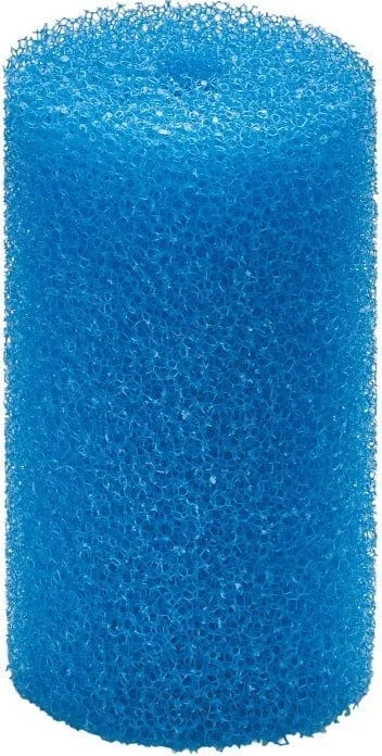 olibetta36311