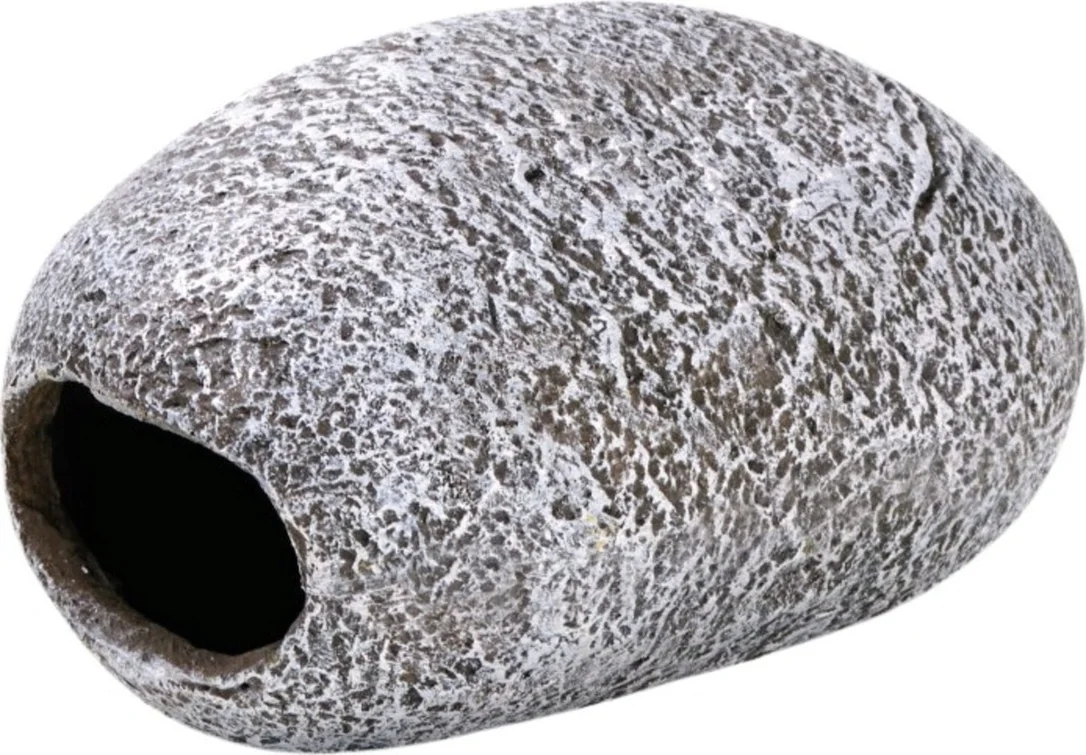 olibetta36519