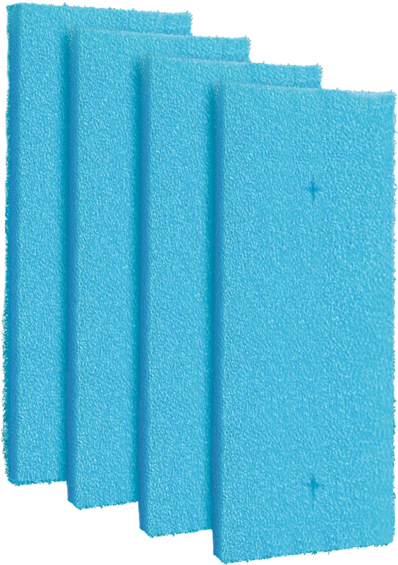 olibetta36710