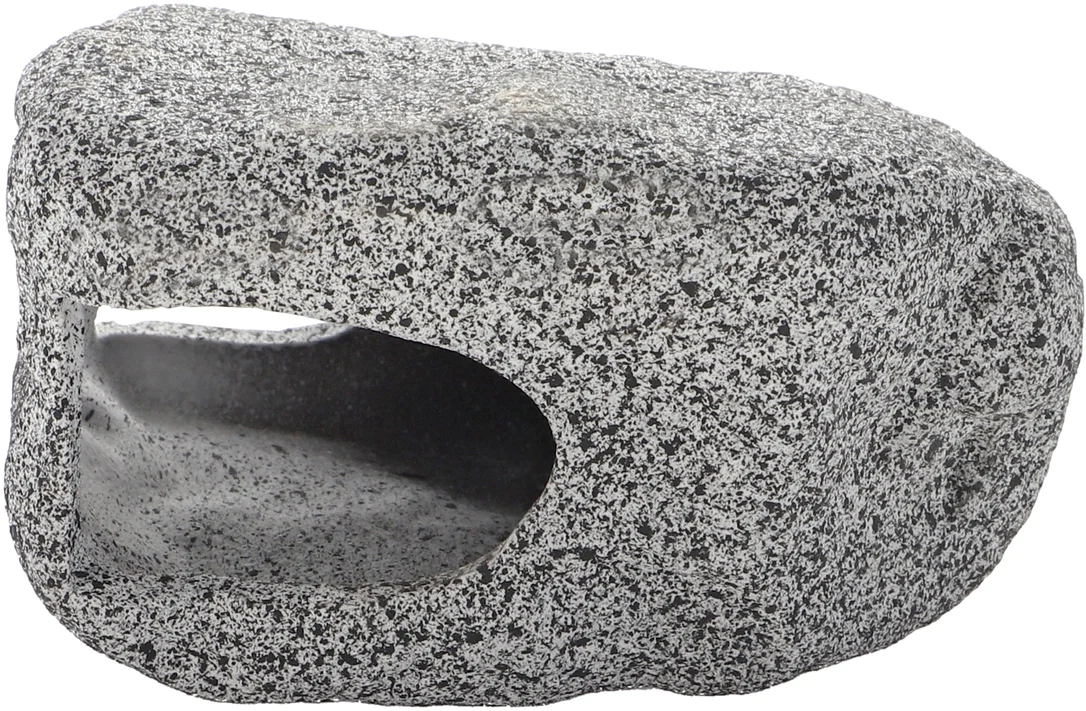 olibetta36895