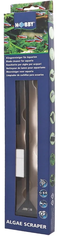 olibetta36909