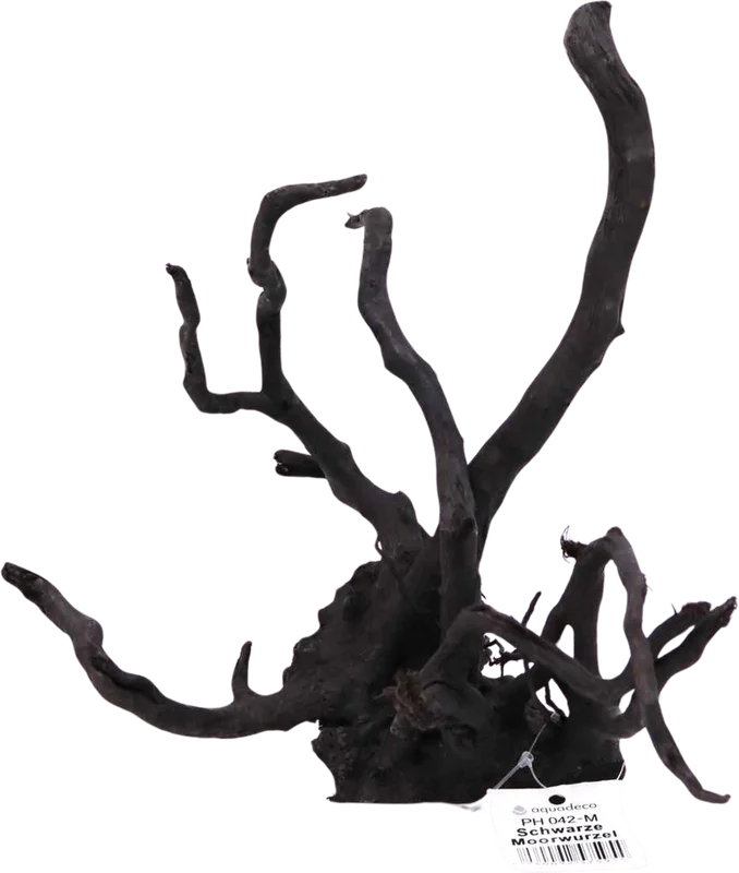 olibetta36935