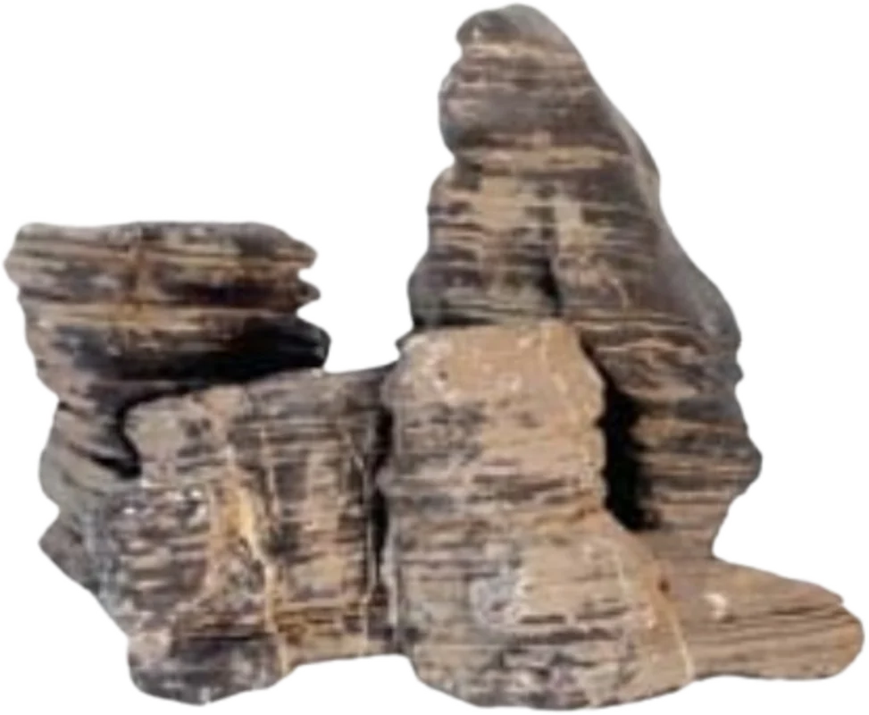 olibetta36965