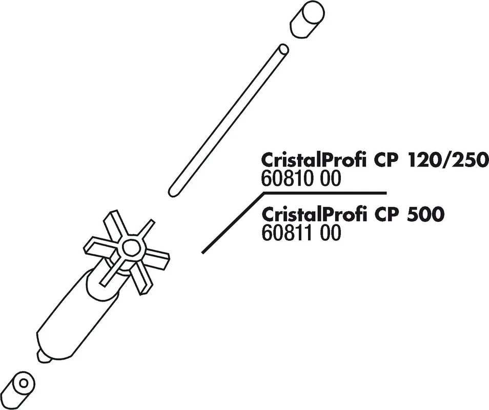 olibetta3760