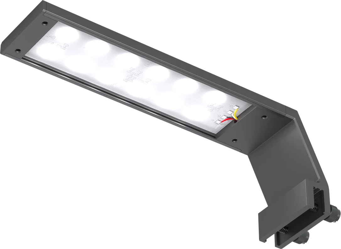 olibetta37982