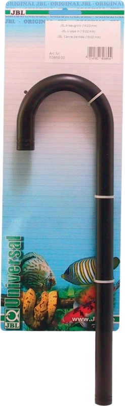 olibetta3817