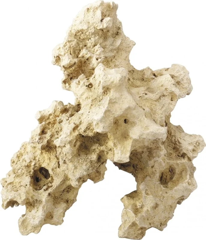 olibetta41
