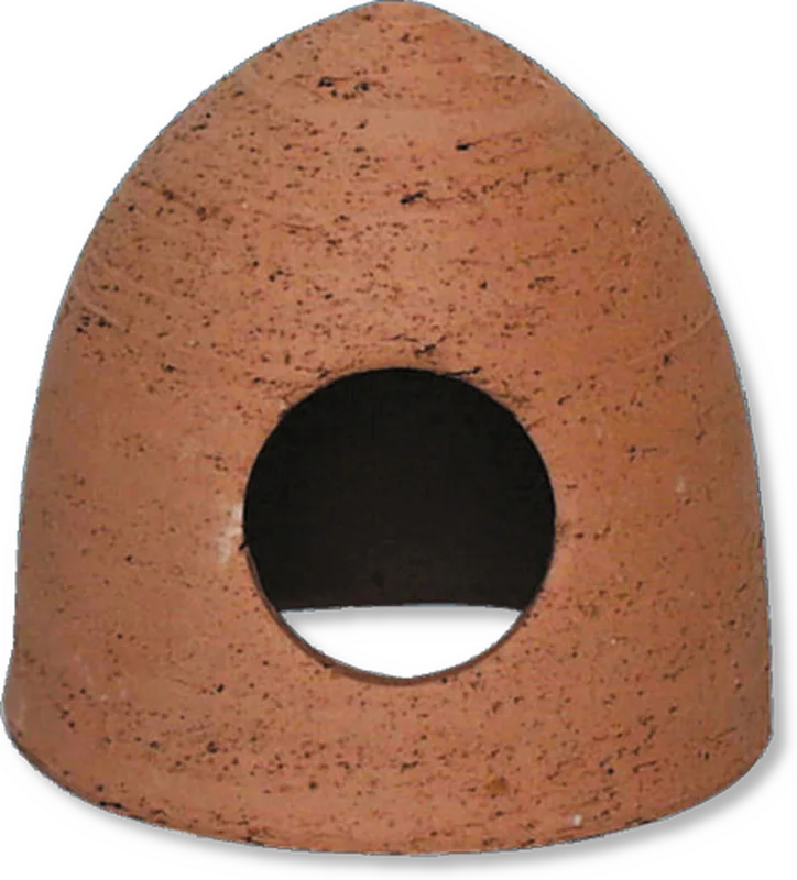 olibetta4124