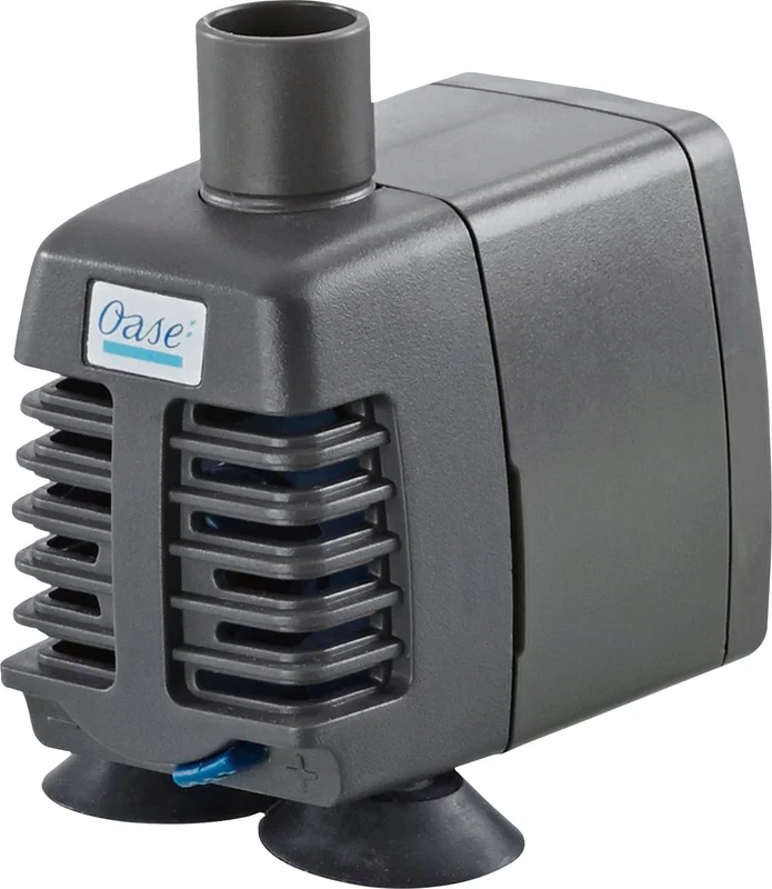 olibetta4216