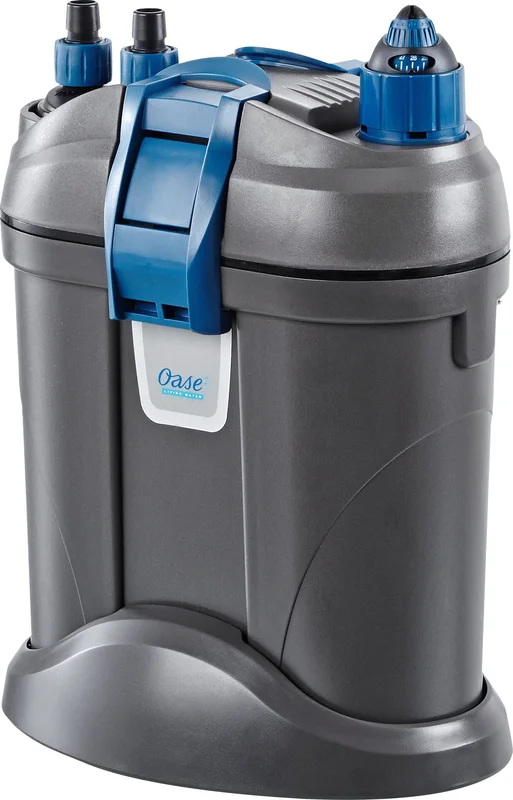 olibetta4284