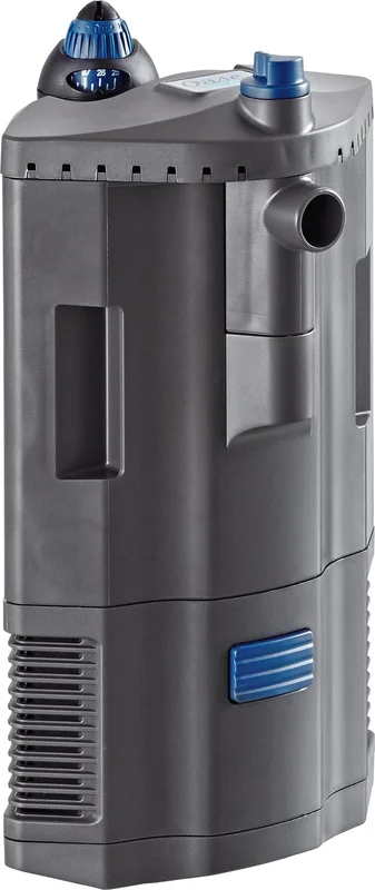 olibetta4321