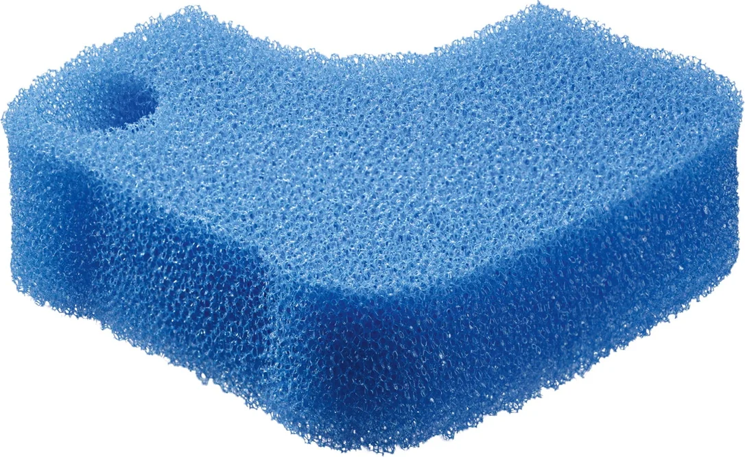 olibetta4455