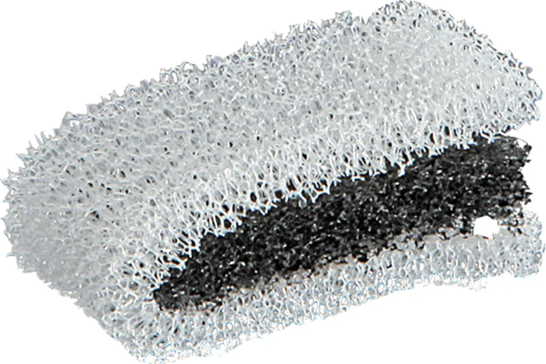 olibetta4489