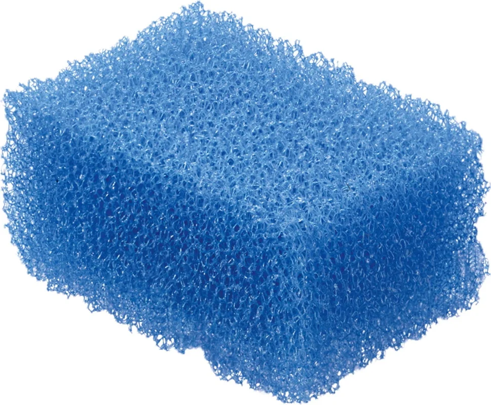 olibetta4498