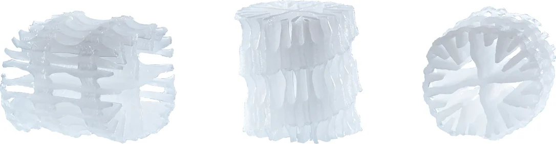 olibetta4542