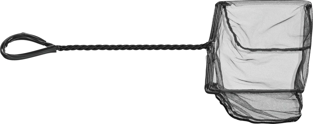 olibetta4594