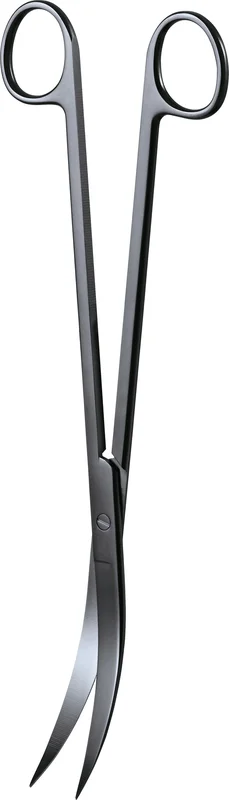 olibetta4604