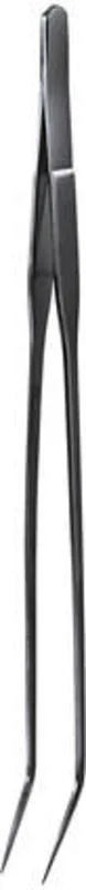 olibetta4619