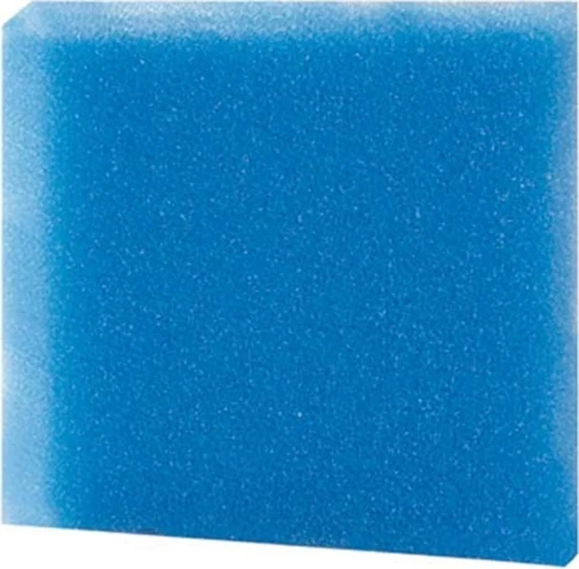 olibetta5046