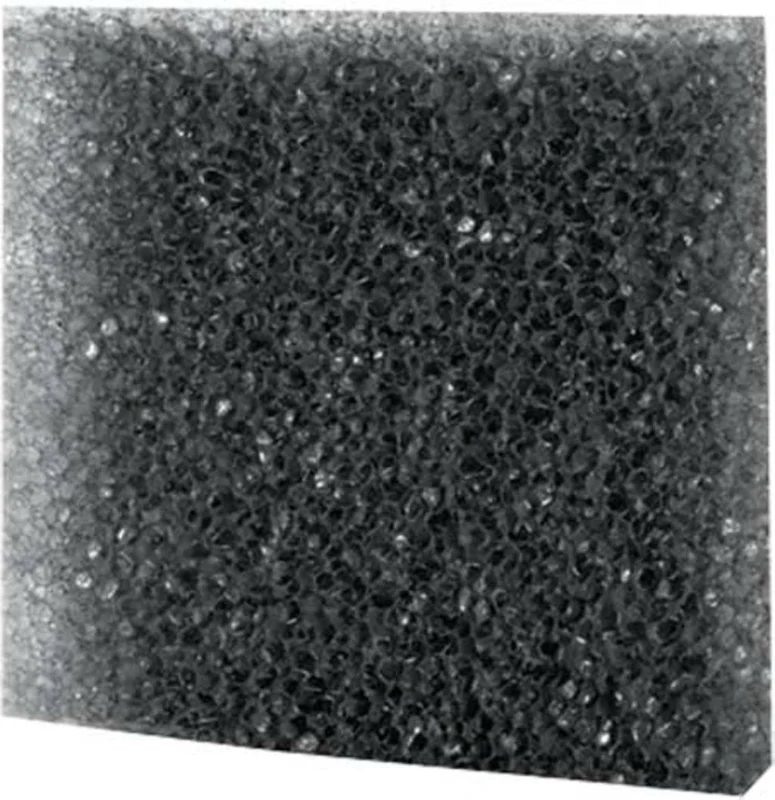 olibetta5066
