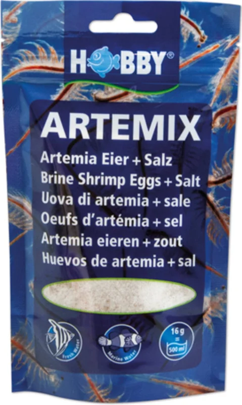 olibetta5074