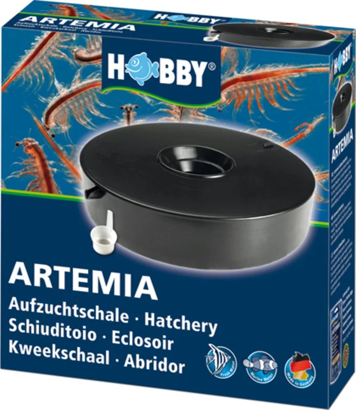 olibetta5133