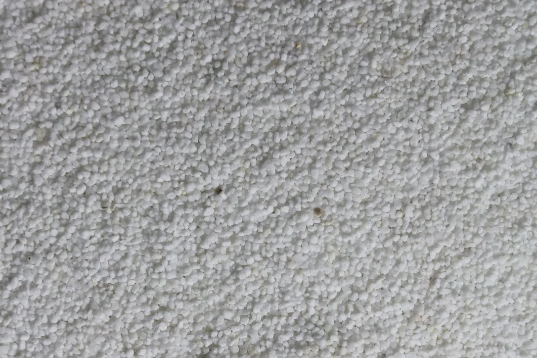 olibetta5921
