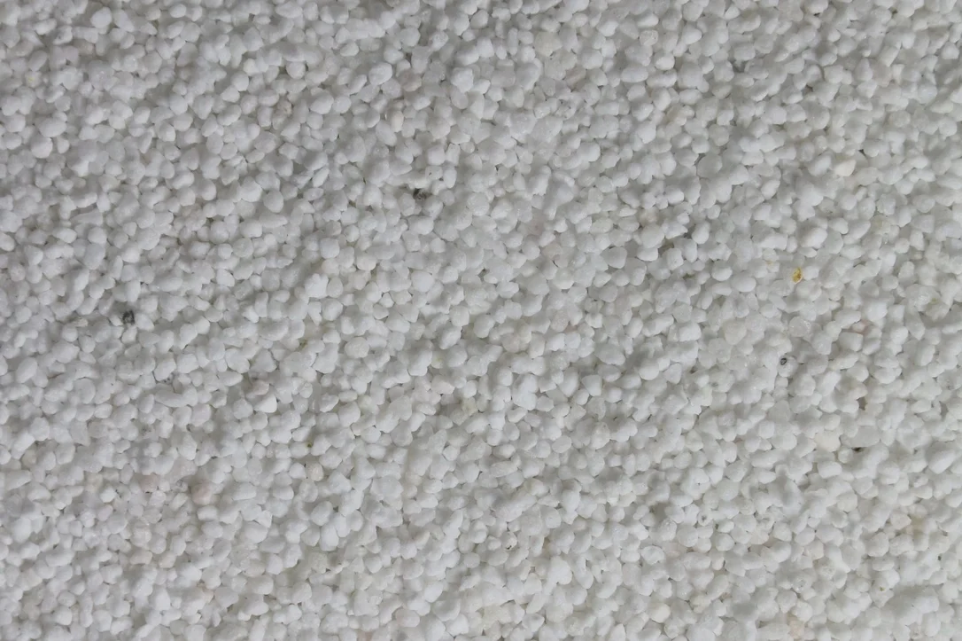 olibetta5929