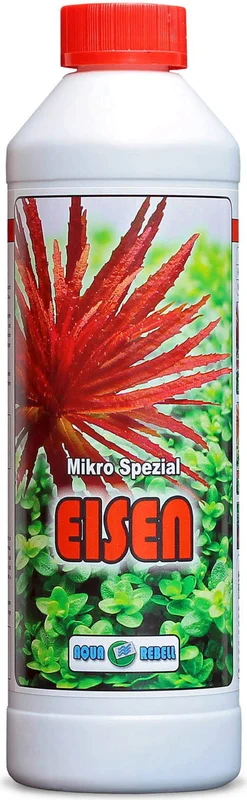 olibetta6046