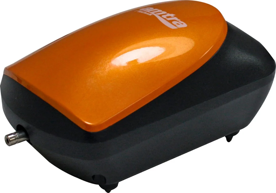 olibetta6841