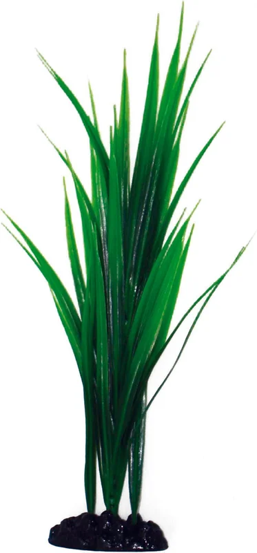 olibetta6887