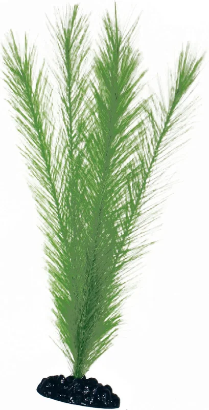 olibetta6913