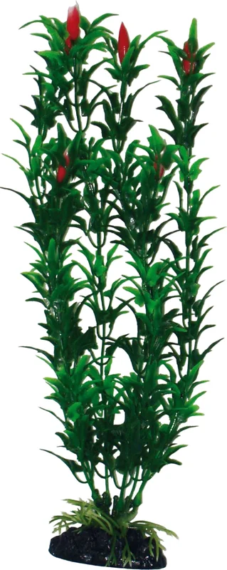 olibetta6941