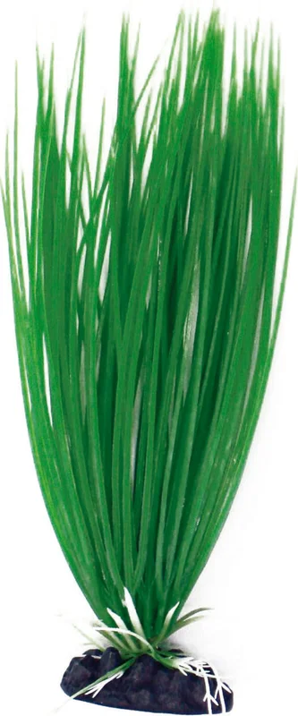 olibetta7006