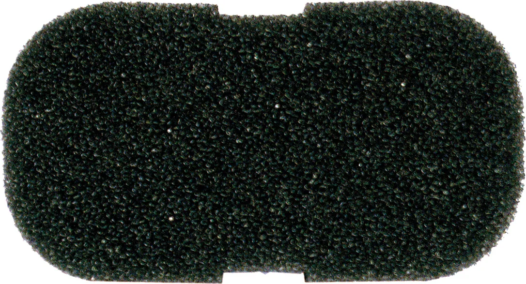 olibetta7231