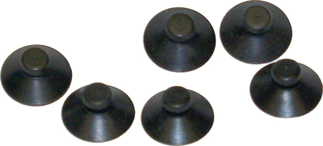 olibetta7462