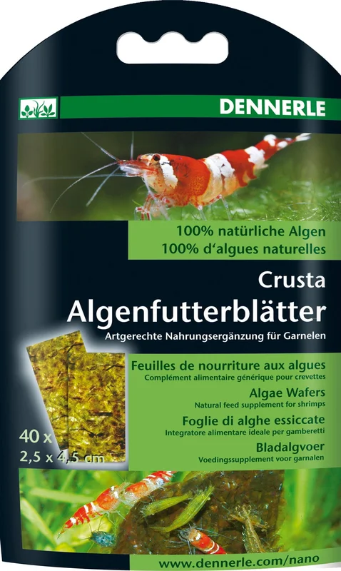 olibetta7519