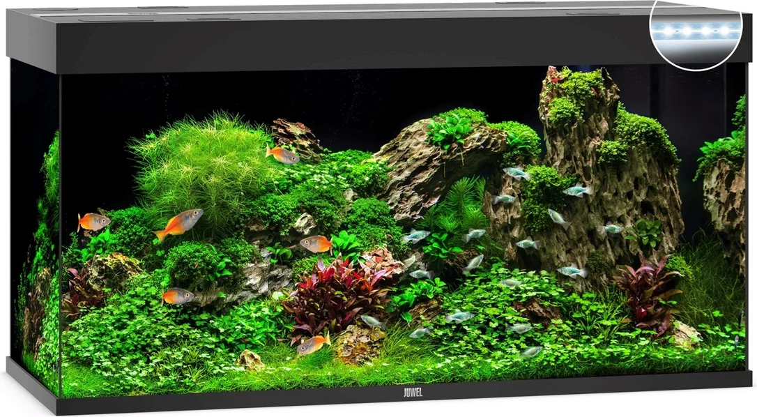 olibetta8189