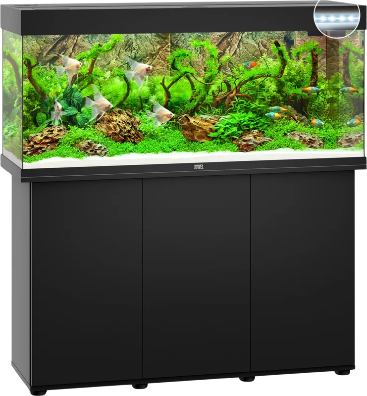 olibetta8232